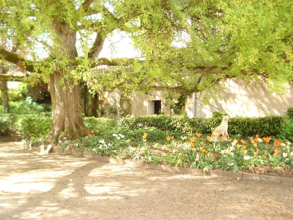 Domaine De Planchoury Bed and Breakfast Saint-Michel-sur-Loire Esterno foto